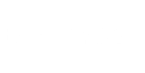 Mini Ryder